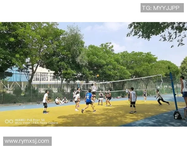 成都排球队意识对比分析揭示团队协作与个人表现的微妙关系