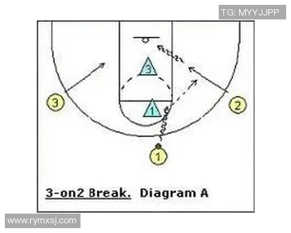 深圳羽毛球队快攻战术揭秘与深度分析探索