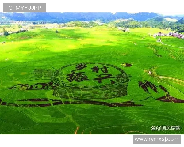足球明星回乡助力乡村振兴整个村庄因他而焕发新生机 足球明星回乡助力乡村振兴整个村庄因他而焕发新生机